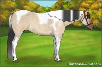 Horse Color:Brown Roan Dun Tobiano Rabicano