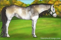 Horse Color:White Spotted Liver Red Onyx Sabino Splash