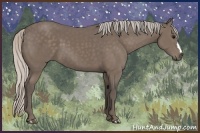 Horse Color:Silver Black 