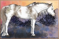 Horse Color:White Spotted Liver Chestnut Splash 