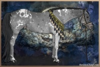 Horse Color:White Spotted Black Varnish 