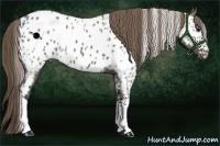 Horse Color:White Spotted Smoky Grullo Tobiano Near Leopard Rabicano 