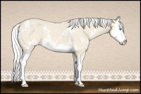 Horse Color:White Spotted Silver Perlino Splash 