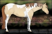 Horse Color:Amber Cream Champagne Dun Tobiano Varnish 