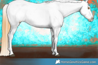Horse Color:Buckskin Dun Blanket Brindle 