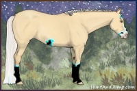 Horse Color:Silver Amber Champagne Dun Splash Frame Rabicano