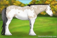 Horse Color:Buckskin Ice Roan Dun Splash Frame