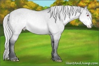 Horse Color:Buckskin Chinchilla Dun Varnish