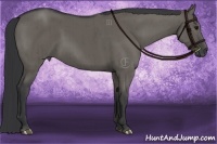 Horse Color:Grullo Brindle 