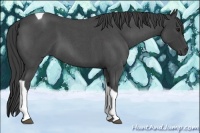 Horse Color:Smoky Blue Roan Tobiano 