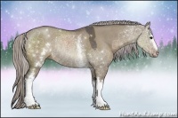 Horse Color:White Spotted Silver Grullo Sabino Rabicano