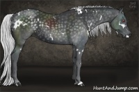 Horse Color:White Spotted Silver Smoky Black Chinchilla 