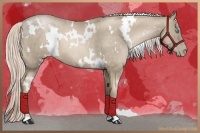 Horse Color:White Spotted Chocolate Palomino Pearl 