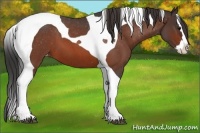 Horse Color:Brown Roan Splash Tobiano Varnish
