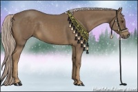 Horse Color:Chocolate Palomino 