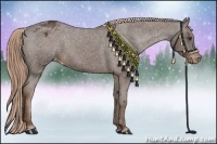 Horse Color:Liver Chestnut Appaloosa 