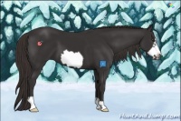 Horse Color:Liver Chestnut Frame 