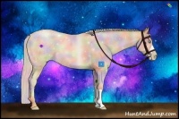 Horse Color:Nacre Silver Buckskin Roan Pearl 