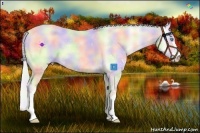 Horse Color:Nacre Cremello Dun Sabino 