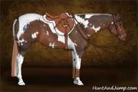 Horse Color:White Spotted Liver Chestnut Tobiano