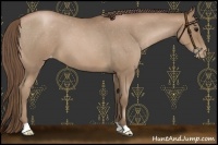 Horse Color:Blue Roan Snowdrop Pearl Varnish 