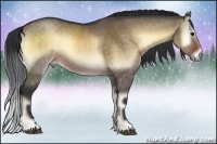 Horse Color:Brown Onyx Sabino
