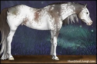 Horse Color:White Spotted Liver Chestnut Ice