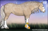 Horse Color:Chocolate Palomino Ice Roan Sabino Splash Rabicano