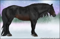 Horse Color:Brown Ice Sabino
