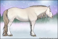 Horse Color:Smoky Creme Onyx