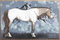 Horse Color:Bay Dun Frame Appaloosa