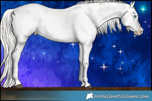 Horse Color:White Spotted Liver Chestnut Pearl Mushroom Sabino Splash 