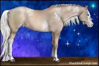 Horse Color:White Spotted Liver Chestnut Pearl Sabino Splash