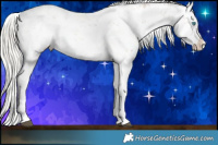 Horse Color:White Spotted Liver Chestnut Pearl Mushroom Sabino Splash 