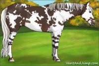 Horse Color:White Spotted Silver Brown Splash 