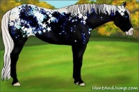 Horse Color:Chocolate Palomino Pearl Dun Sabino Splash