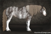 Horse Color:White Spotted Liver Chestnut Rabicano 