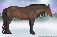 Horse Color:Liver Chestnut Sabino 