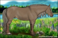 Horse Color:Liver Red Dun Sabino Rabicano