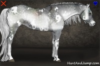 Horse Color:White Spotted Silver Blue Onyx Chinchilla Ice