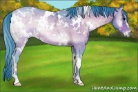 Horse Color:Watercolor White Spotted Bay Ice Onyx Rabicano 