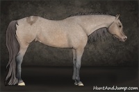 Horse Color:Brown Dun Varnish 