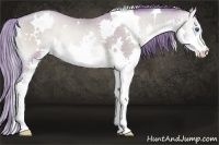 Horse Color:Watercolor White Spotted Smoky Blue Onyx Pearl Sabino Splash Rabicano