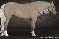 Horse Color:Silver Smoky Grullo