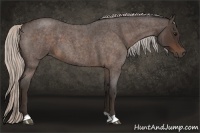 Horse Color:Silver Bay Roan 