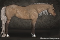 Horse Color:Silver Bay Dun 