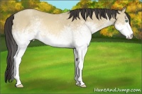 Horse Color:White Spotted Sable Cream Champagne Dun