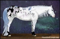 Horse Color:Watercolor Bay Onyx Appaloosa