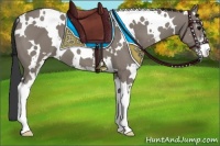 Horse Color:White Spotted Grullo Sabino
