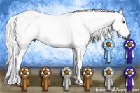 Horse Color:Gray Bay Tobiano 